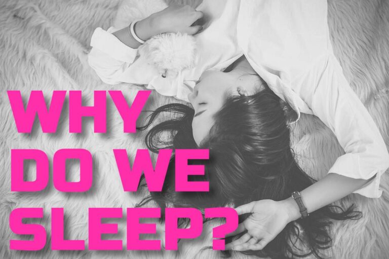 why do we sleep