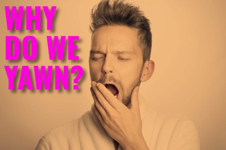 WHY DO WE YAWN